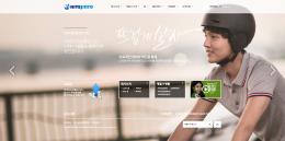 하이트진로홀딩스